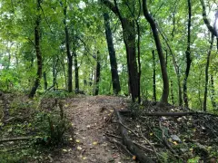 Walking and biking trail from Manassas to Alexandria? Officials commission study